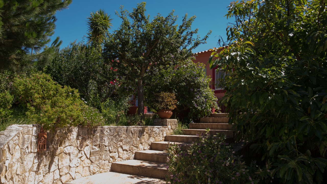 Photo of Outdoor in Alferce
