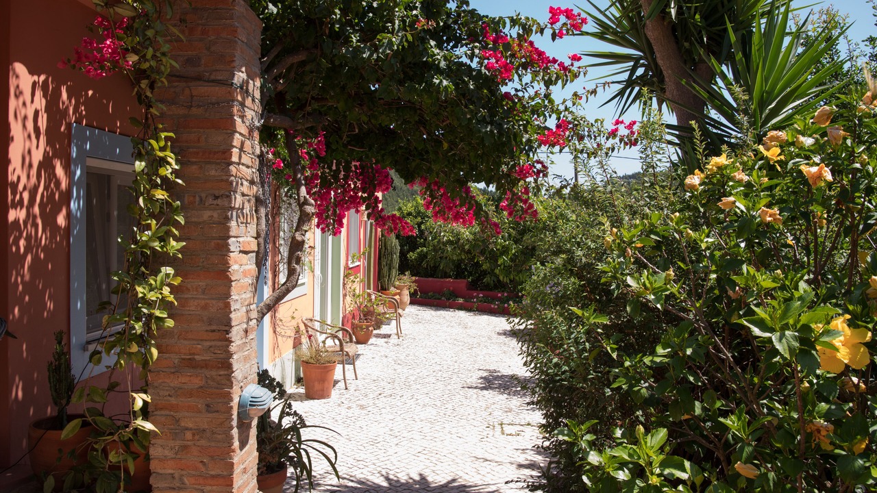 Photo of Outdoor in Alferce