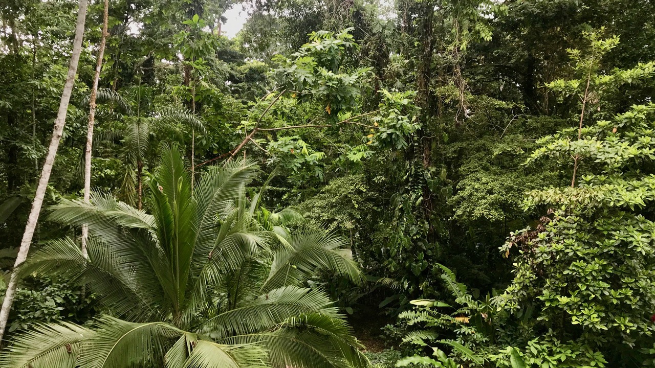Photo of Outdoor in Chiguata