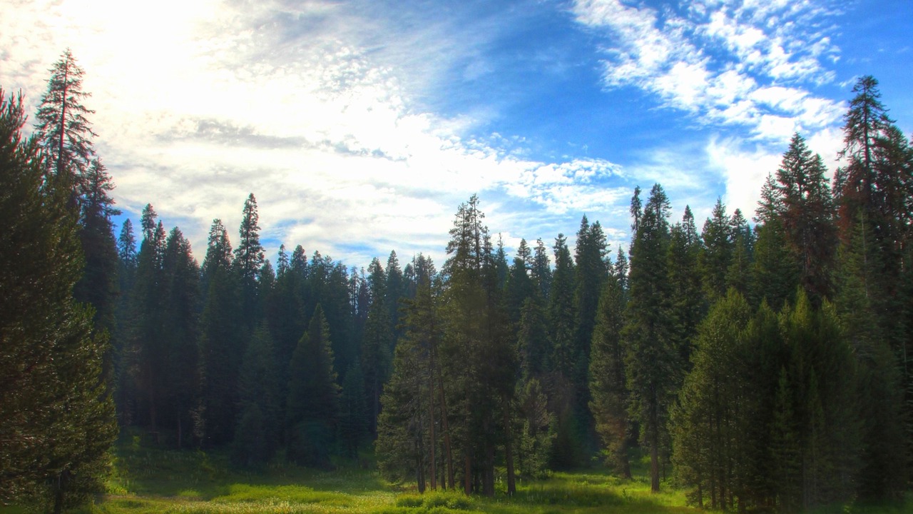 Photo of Outdoor in Kaweah