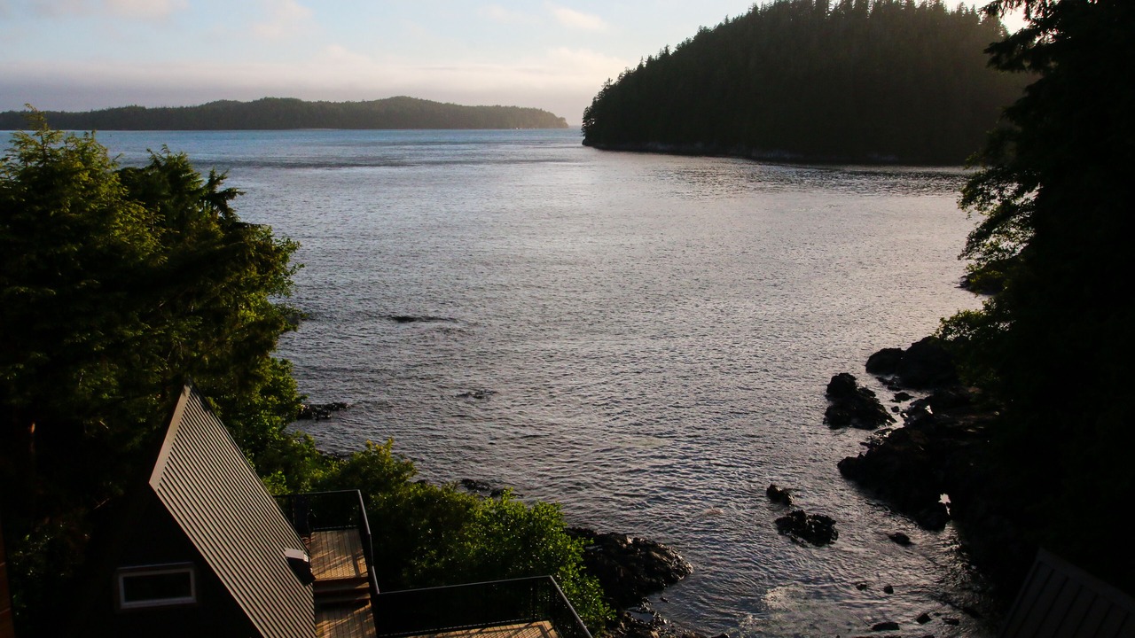 Photo of Others in Tofino