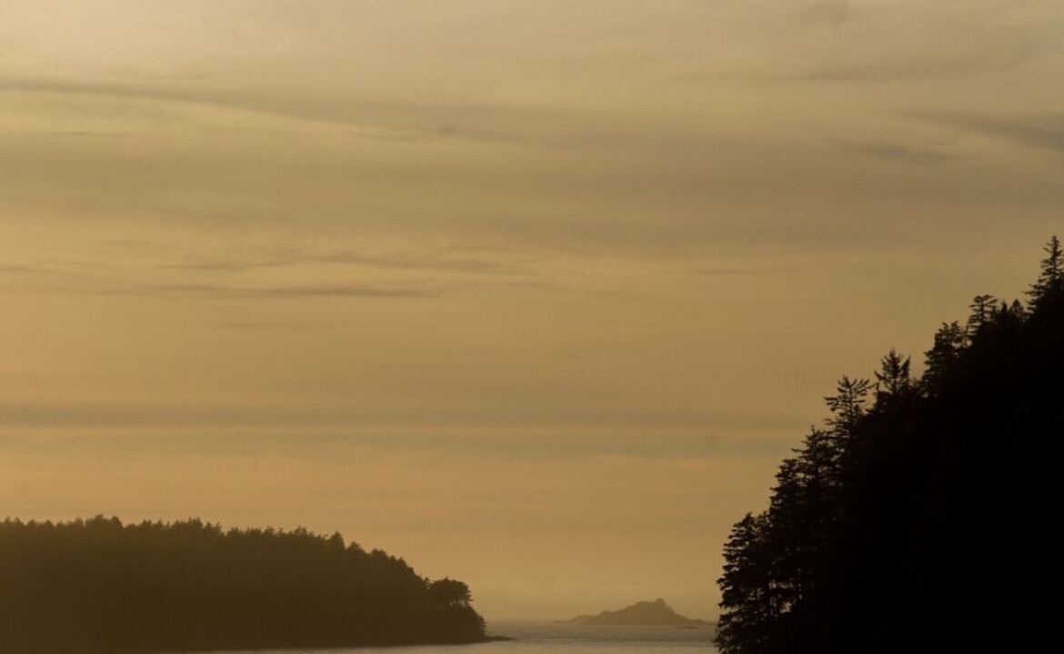 Photo of Outdoor in Tofino