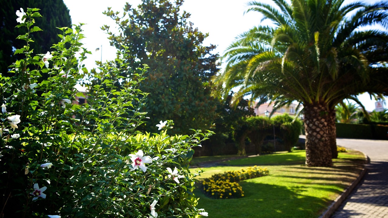 Photo of Outdoor in Tondela