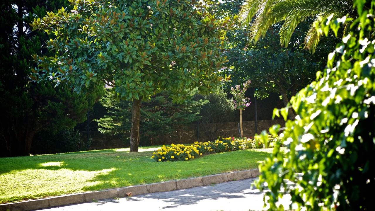 Photo of Outdoor in Tondela