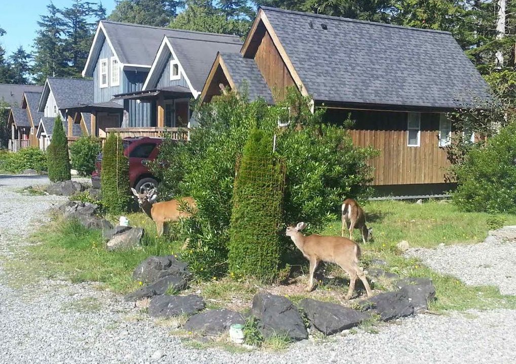 Photo of Outdoor in Ucluelet