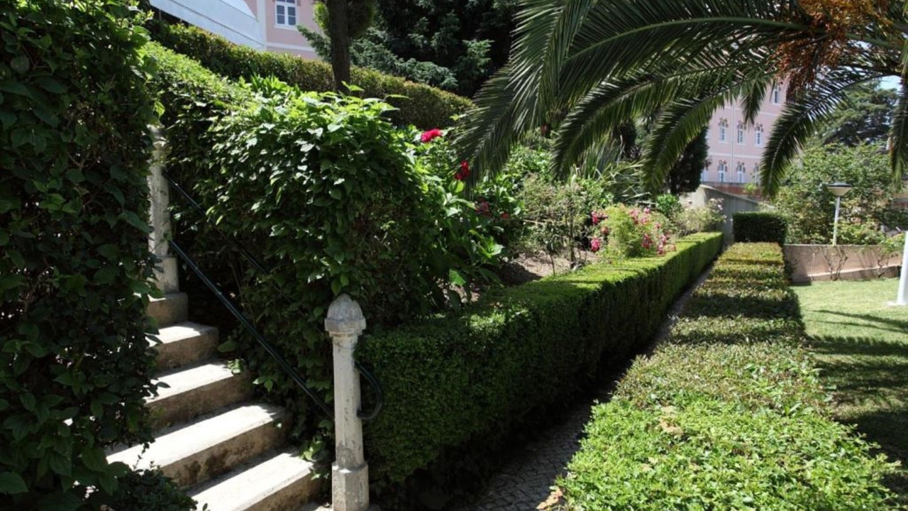 Photo of Outdoor in Luso