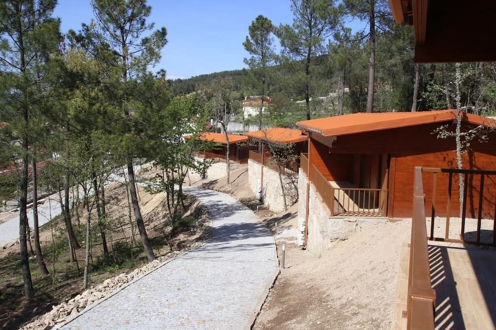 Photo of Outdoor in Mondim da Beira