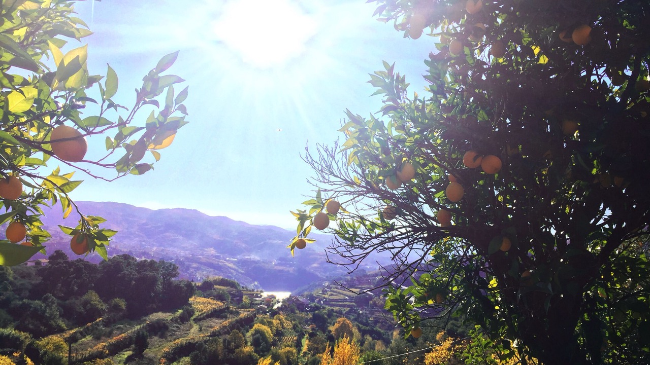 Photo of Outdoor in Baiao