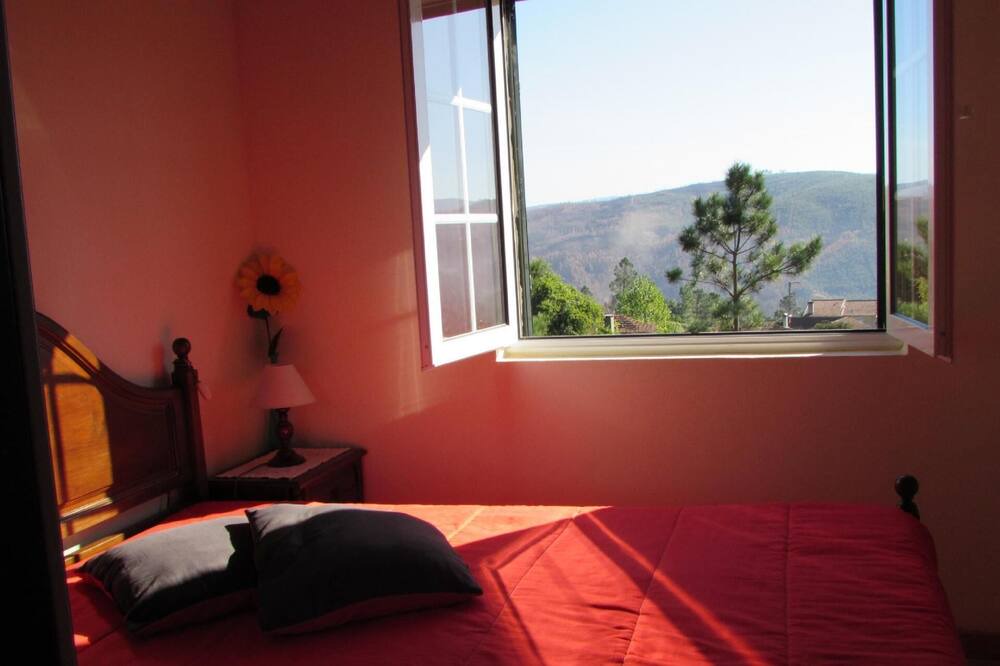 Photo of Others in Arouca