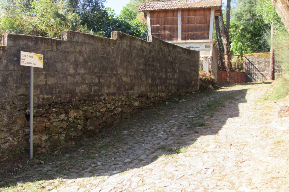 Photo of Others in Arouca