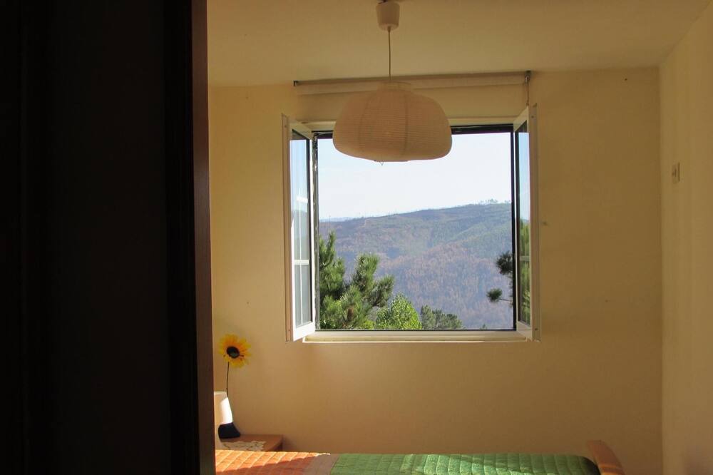 Photo of Others in Arouca