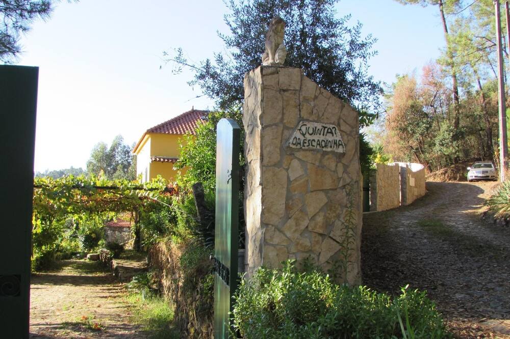 Photo of Others in Arouca