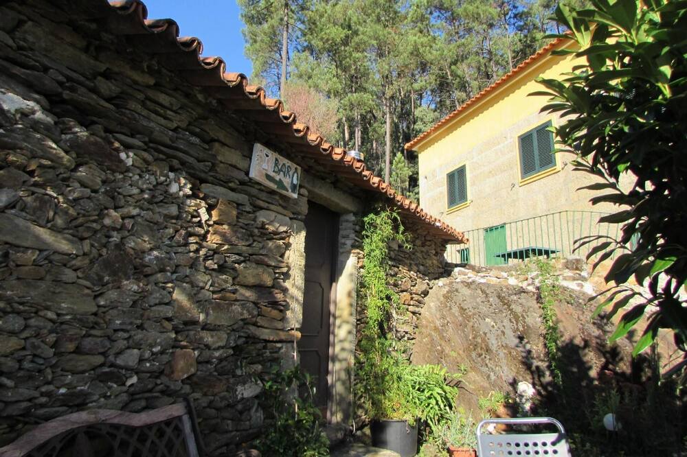 Photo of Others in Arouca