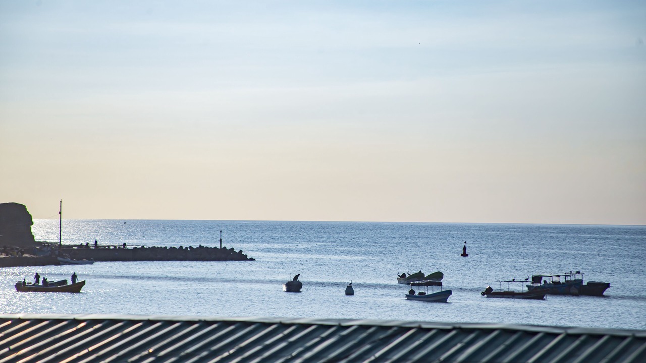 Photo of Others in San Juan del Sur