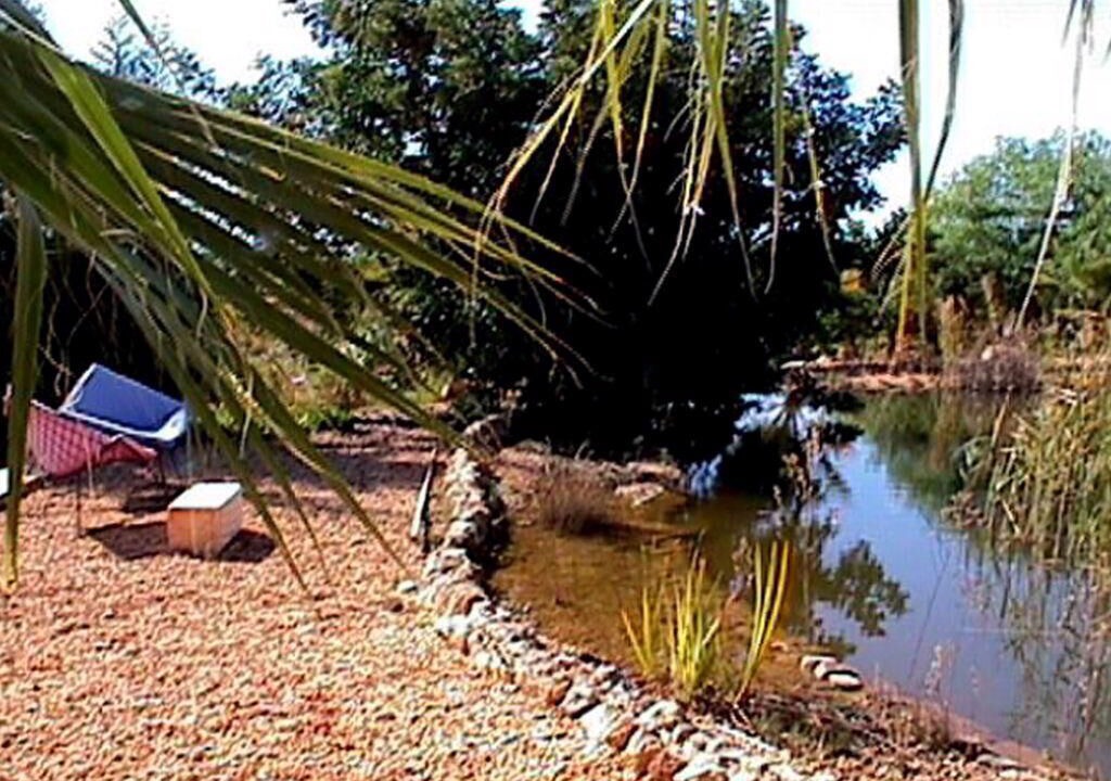 Photo of Outdoor in Fonte do Bispo