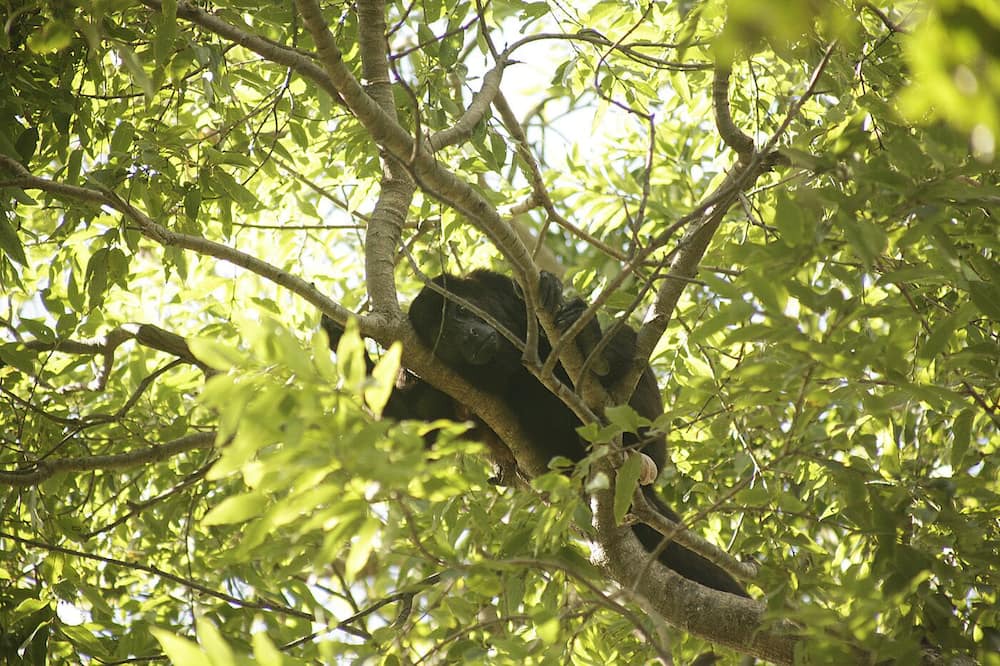 Photo of Others in Rancho Santana