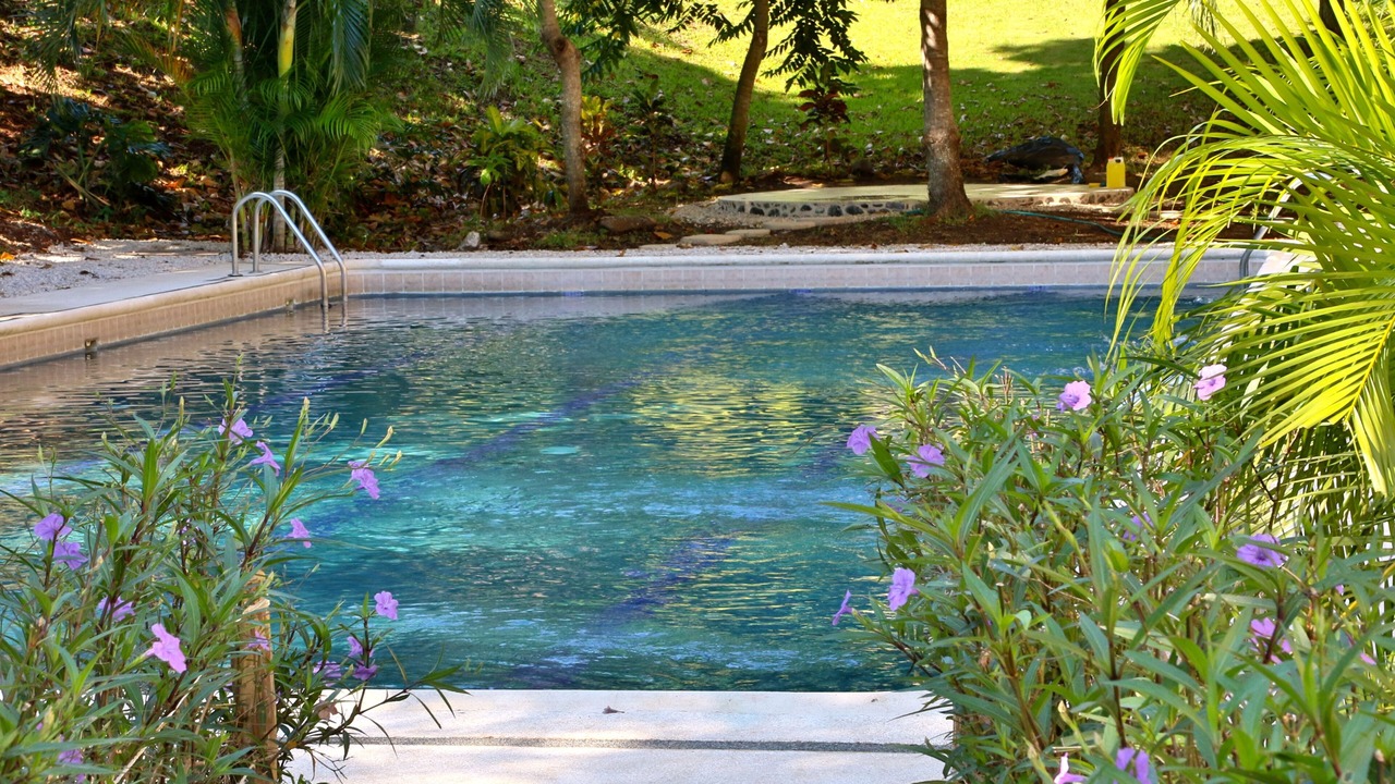 Photo of Outdoor in Tamarindo