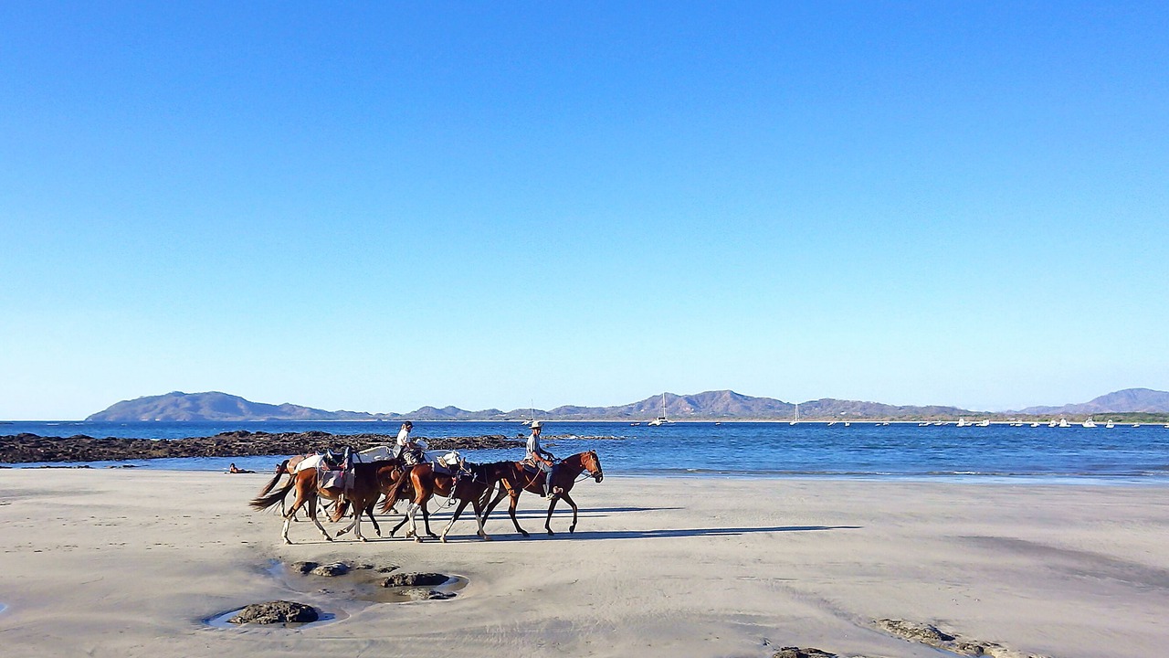 Photo of Others in Tamarindo