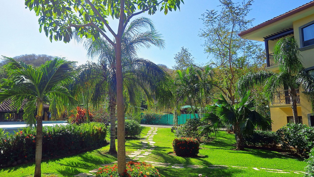Photo of Outdoor in Tamarindo