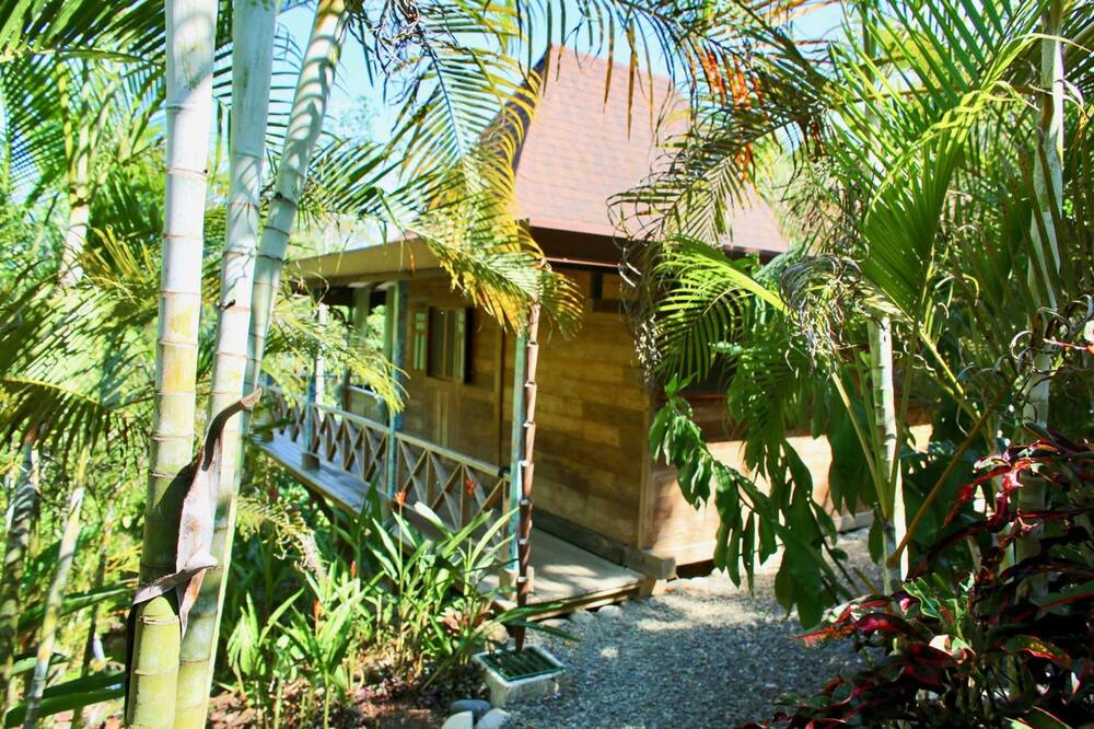 Photo of Outdoor in Ballena