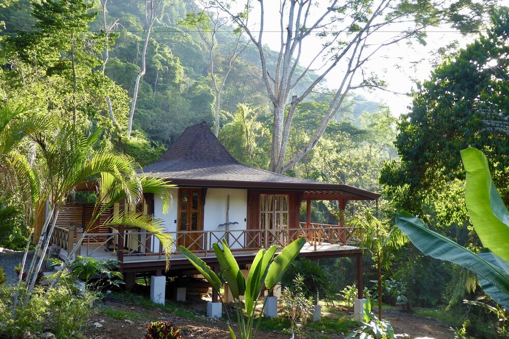 Photo of Outdoor in Ballena