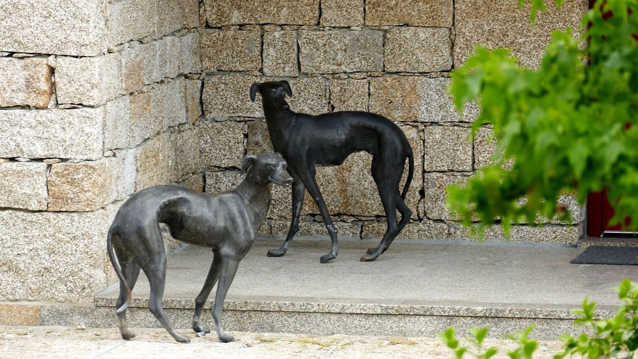 Photo of Outdoor in Quintela