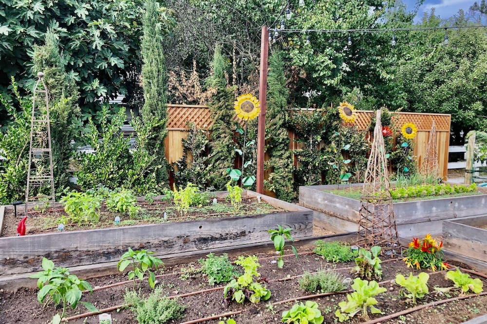 Photo of Outdoor in Santa Ynez