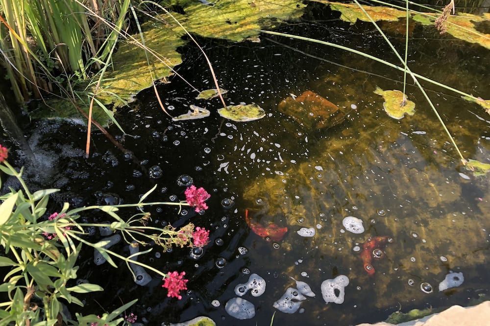 Photo of Outdoor in Santa Ynez