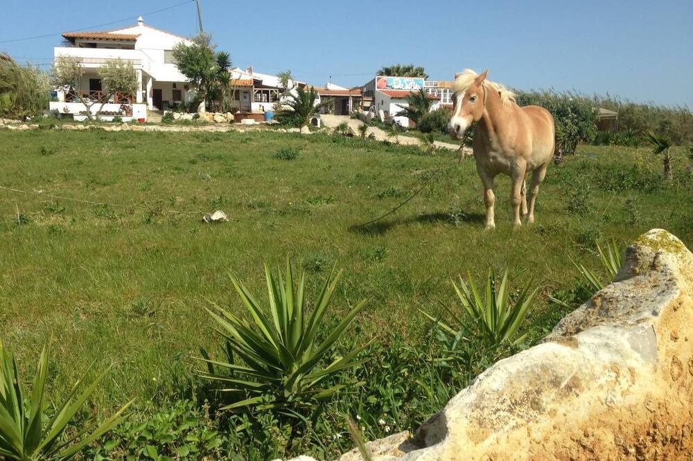 Photo of Outdoor in Atalaia