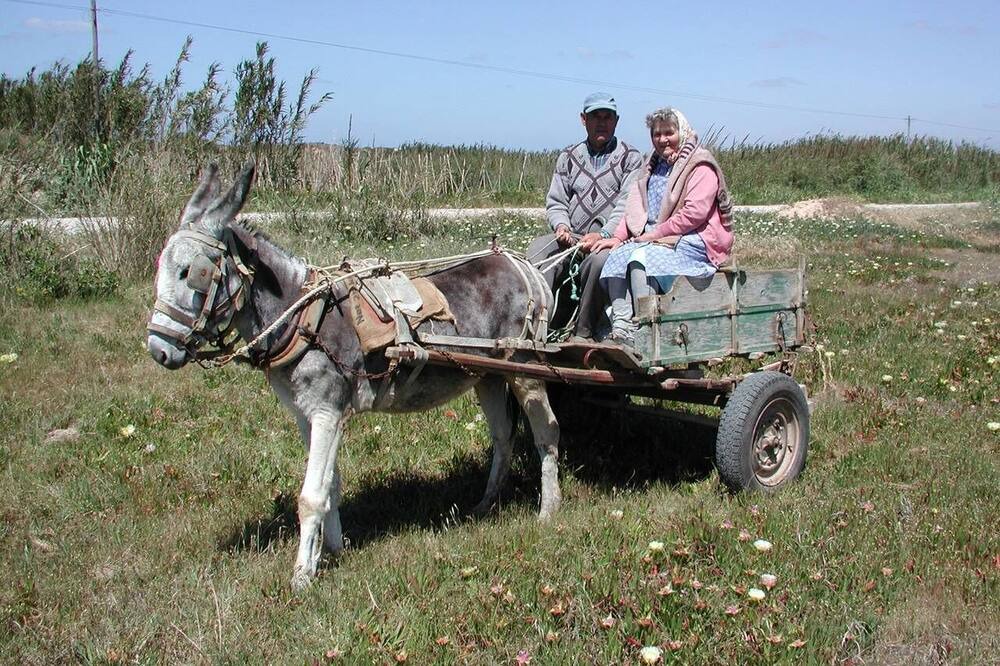 Photo of Others in Atalaia