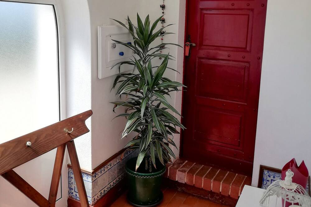 Photo of Bedroom in Carvoeira