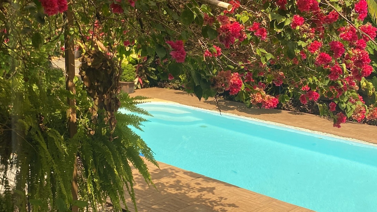 Photo of Outdoor in Drake Bay