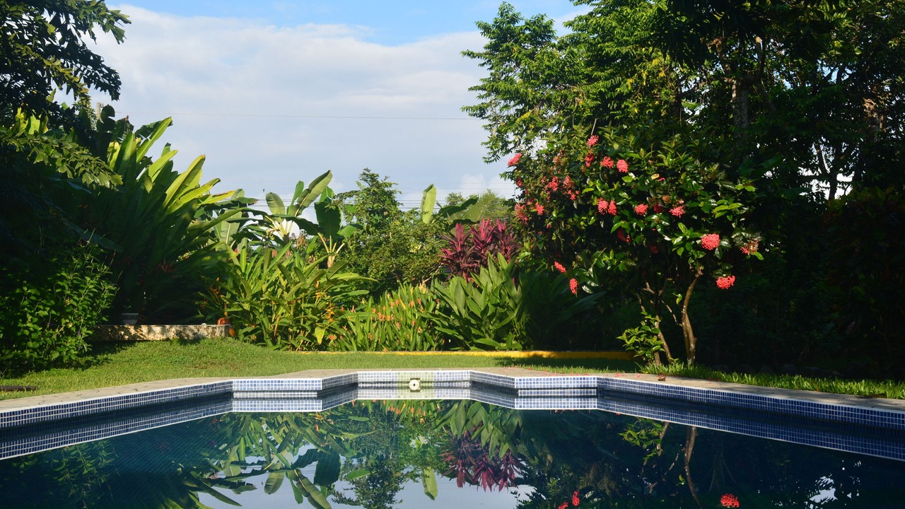 Photo of Outdoor in Uvita
