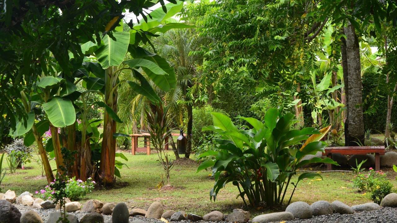 Photo of Outdoor in Uvita