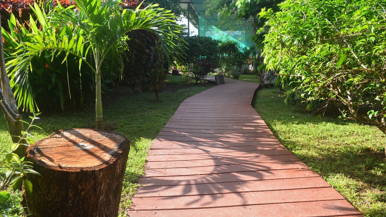 Photo of Outdoor in Uvita