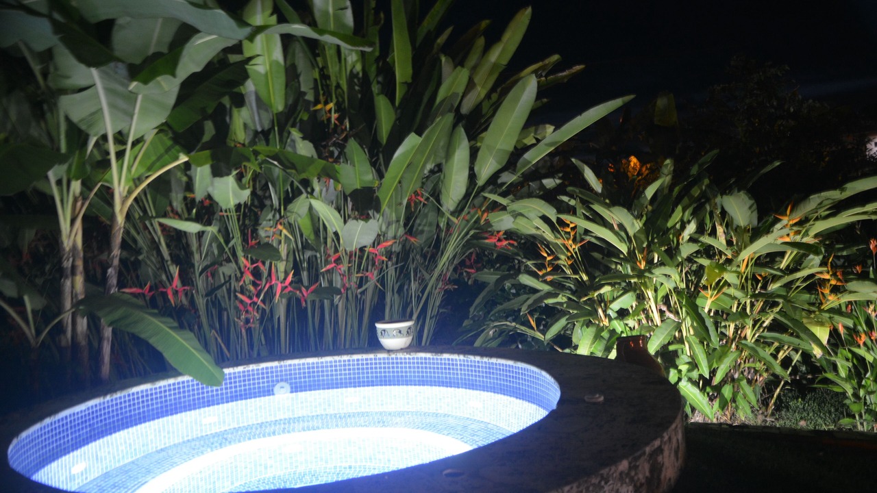 Photo of Outdoor in Uvita