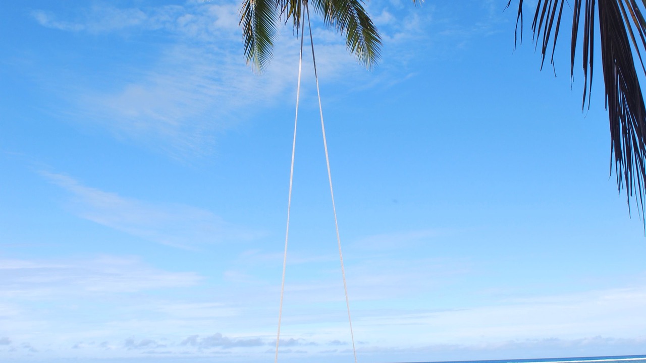 Photo of Others in Korolevu