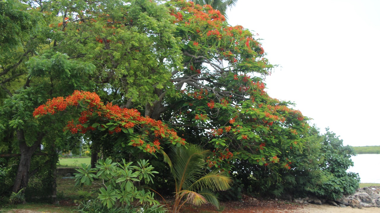 Photo of Outdoor in Viseisei
