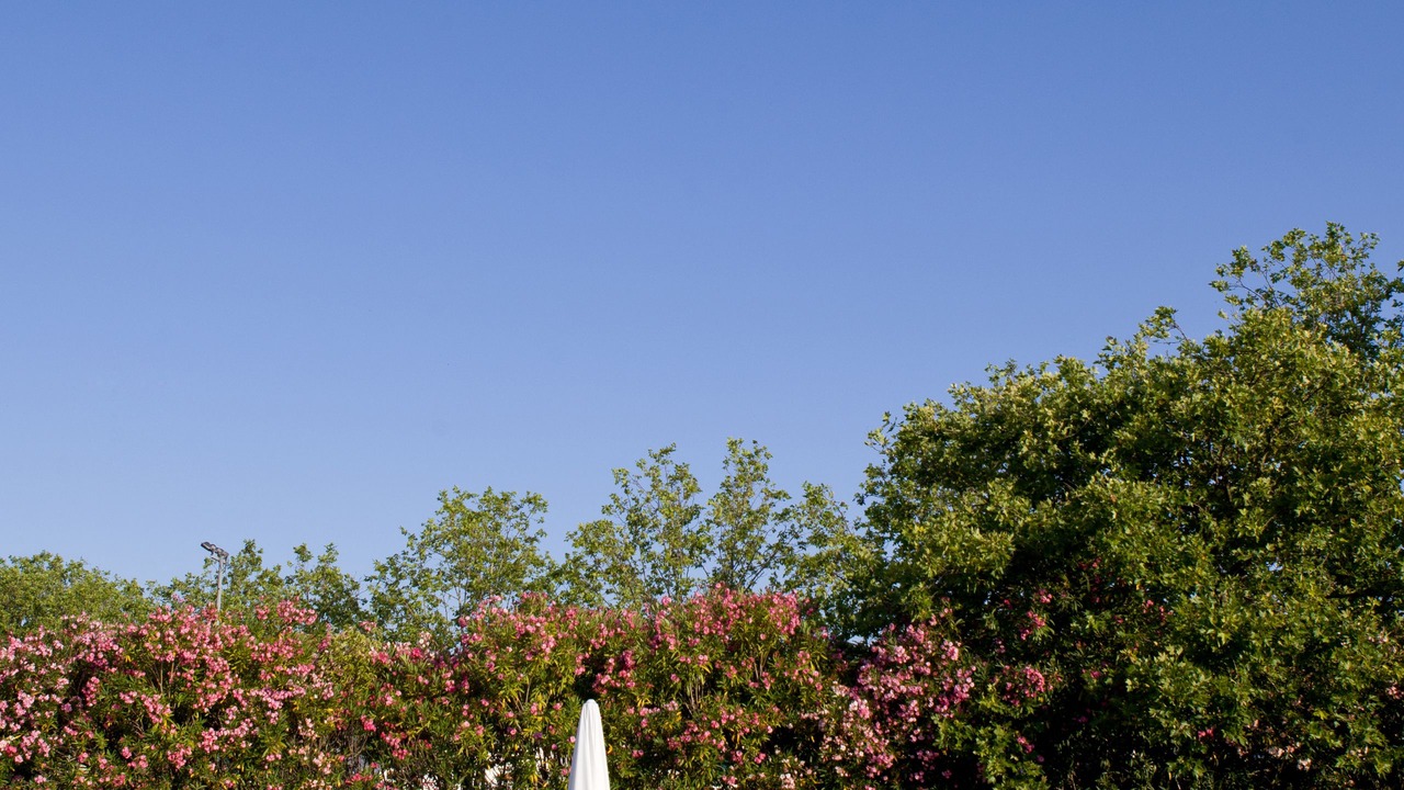 Photo of Outdoor in Elvas