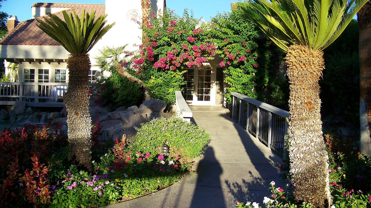 Photo of Outdoor in Palm Springs