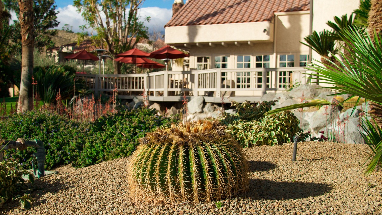 Photo of Outdoor in Palm Springs