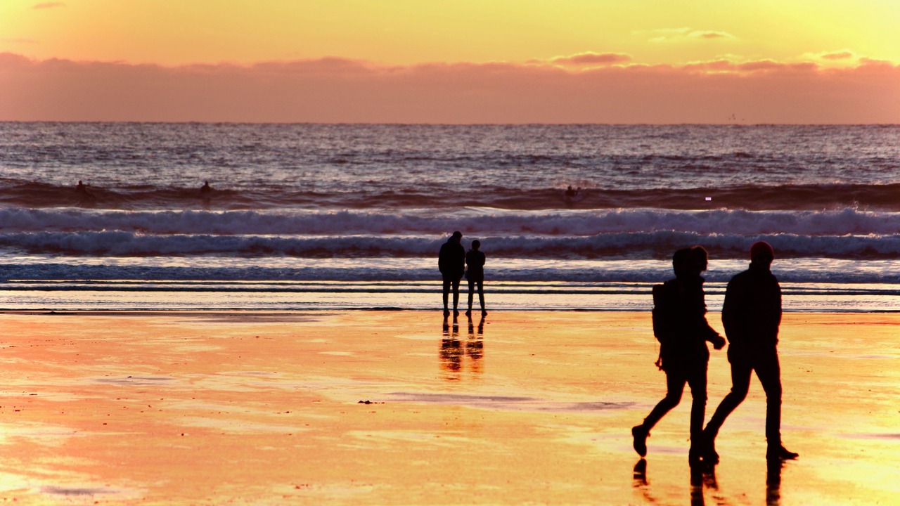 Photo of Others in Tofino