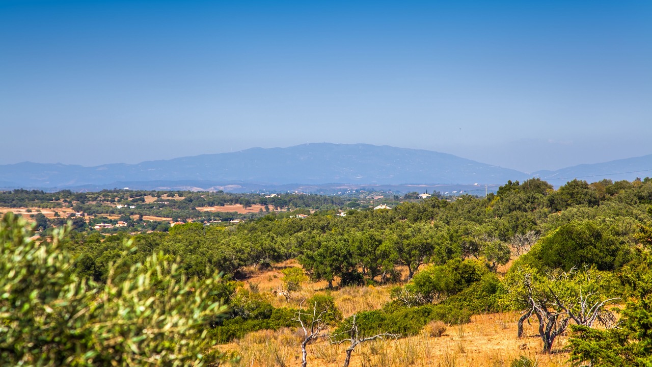 Photo of Outdoor in Praia da Luz