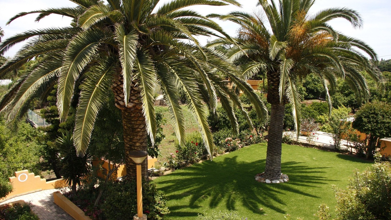 Photo of Outdoor in Praia da Luz