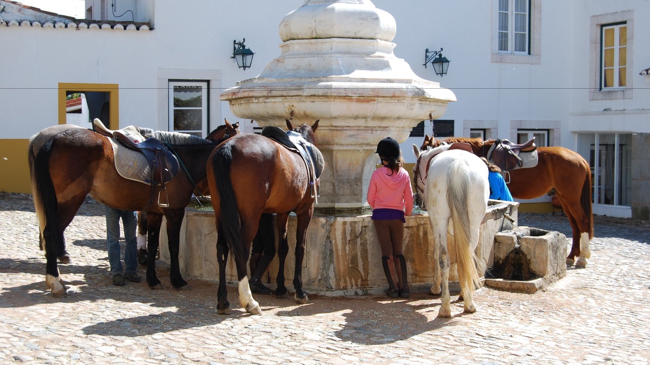 Photo of Others in Elvas