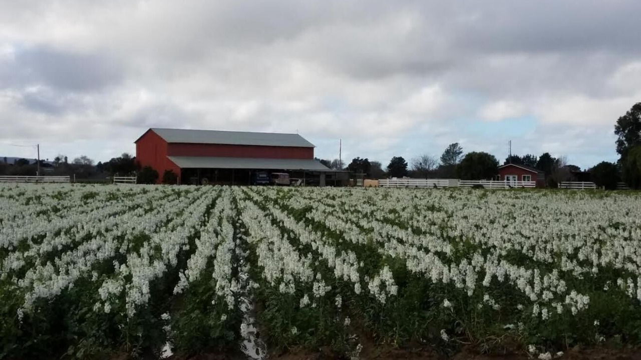 Photo of Outdoor in Lompoc