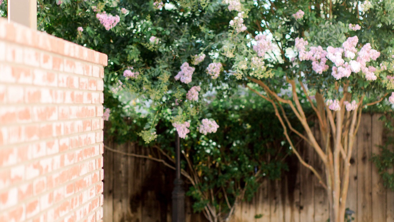 Photo of Outdoor in Santa Ynez