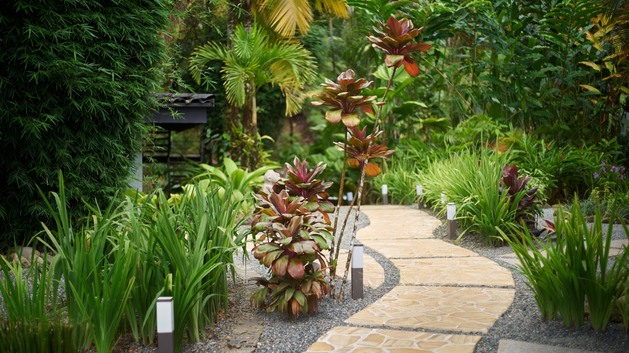 Photo of Outdoor in Ballena
