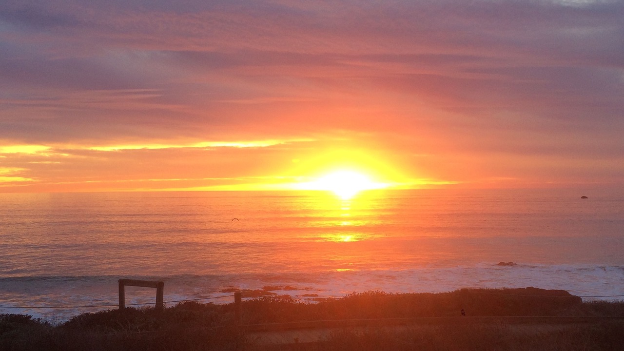Photo of Others in San Simeon