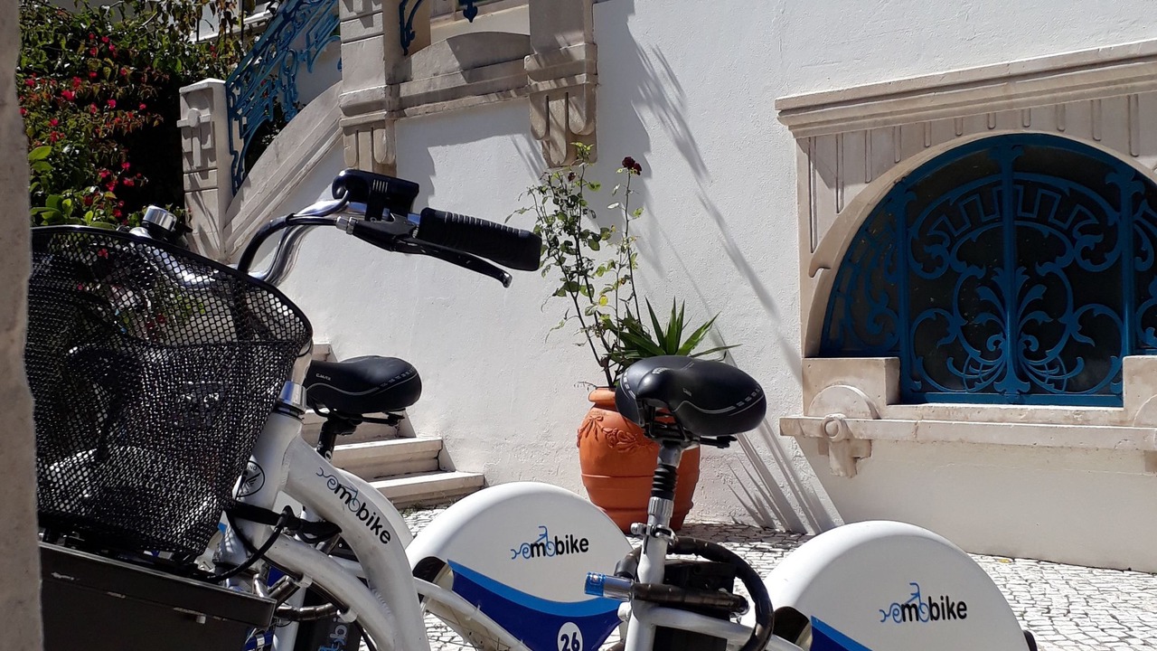 Photo of Outdoor in Vera Cruz